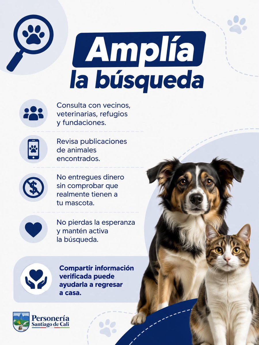 personeriacali's tweet photo. 🐾 Después del terremoto, muchas mascotas pueden estar perdidas o desorientadas.

Si buscas a la tuya, recorre los alrededores con calma, revisa posibles escondites y difunde una foto reciente con información clara. Consulta también con vecinos, veterinarias, refugios y fundaciones.

Si encuentras una mascota, resguárdala con cuidado y llévala al Centro de Bienestar Animal. Compartir información verificada puede ayudarla a regresar a casa.

Ellos también necesitan de nuestra solidaridad: dona agua y alimento para mascotas en los centros de acopio habilitados. 🐶🐱