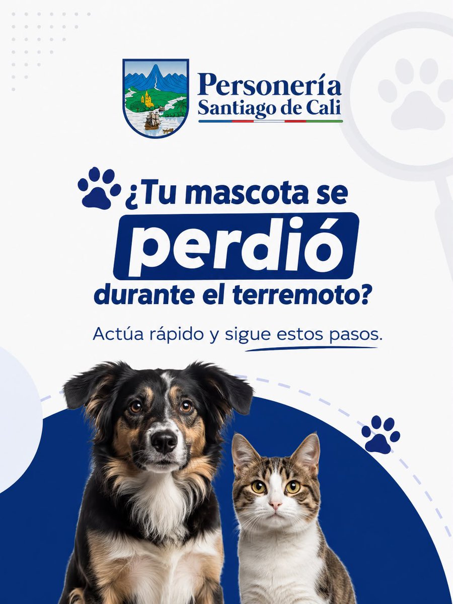 personeriacali's tweet photo. 🐾 Después del terremoto, muchas mascotas pueden estar perdidas o desorientadas.

Si buscas a la tuya, recorre los alrededores con calma, revisa posibles escondites y difunde una foto reciente con información clara. Consulta también con vecinos, veterinarias, refugios y fundaciones.

Si encuentras una mascota, resguárdala con cuidado y llévala al Centro de Bienestar Animal. Compartir información verificada puede ayudarla a regresar a casa.

Ellos también necesitan de nuestra solidaridad: dona agua y alimento para mascotas en los centros de acopio habilitados. 🐶🐱