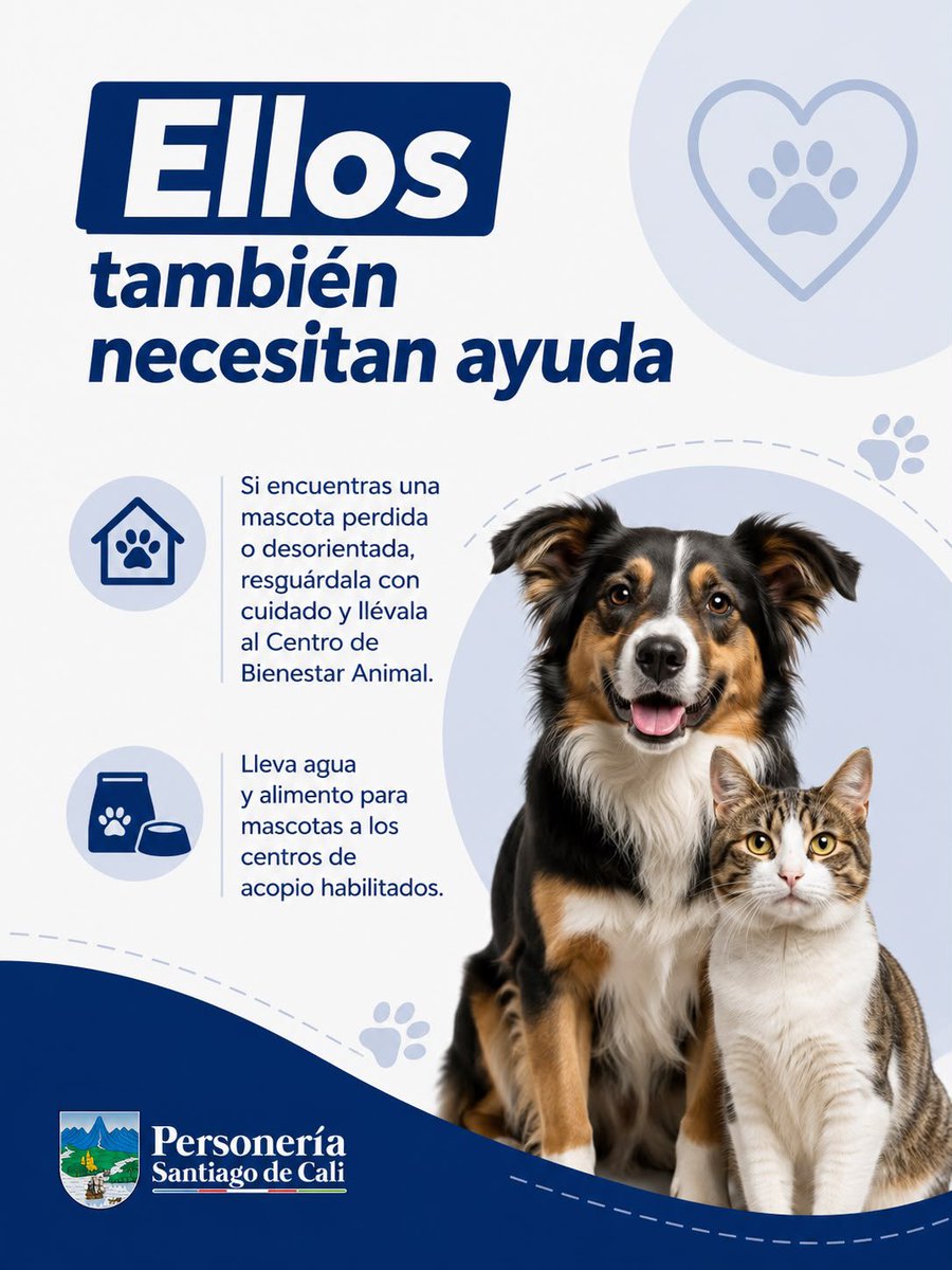 personeriacali's tweet photo. 🐾 Después del terremoto, muchas mascotas pueden estar perdidas o desorientadas.

Si buscas a la tuya, recorre los alrededores con calma, revisa posibles escondites y difunde una foto reciente con información clara. Consulta también con vecinos, veterinarias, refugios y fundaciones.

Si encuentras una mascota, resguárdala con cuidado y llévala al Centro de Bienestar Animal. Compartir información verificada puede ayudarla a regresar a casa.

Ellos también necesitan de nuestra solidaridad: dona agua y alimento para mascotas en los centros de acopio habilitados. 🐶🐱