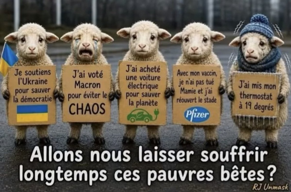Pascal_Laurent_ tweet picture