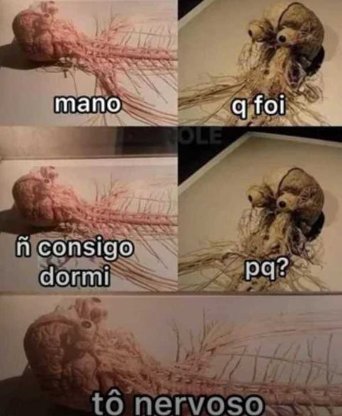 jpeg_memez's tweet photo. https://t.co/XluYOxu0Mb