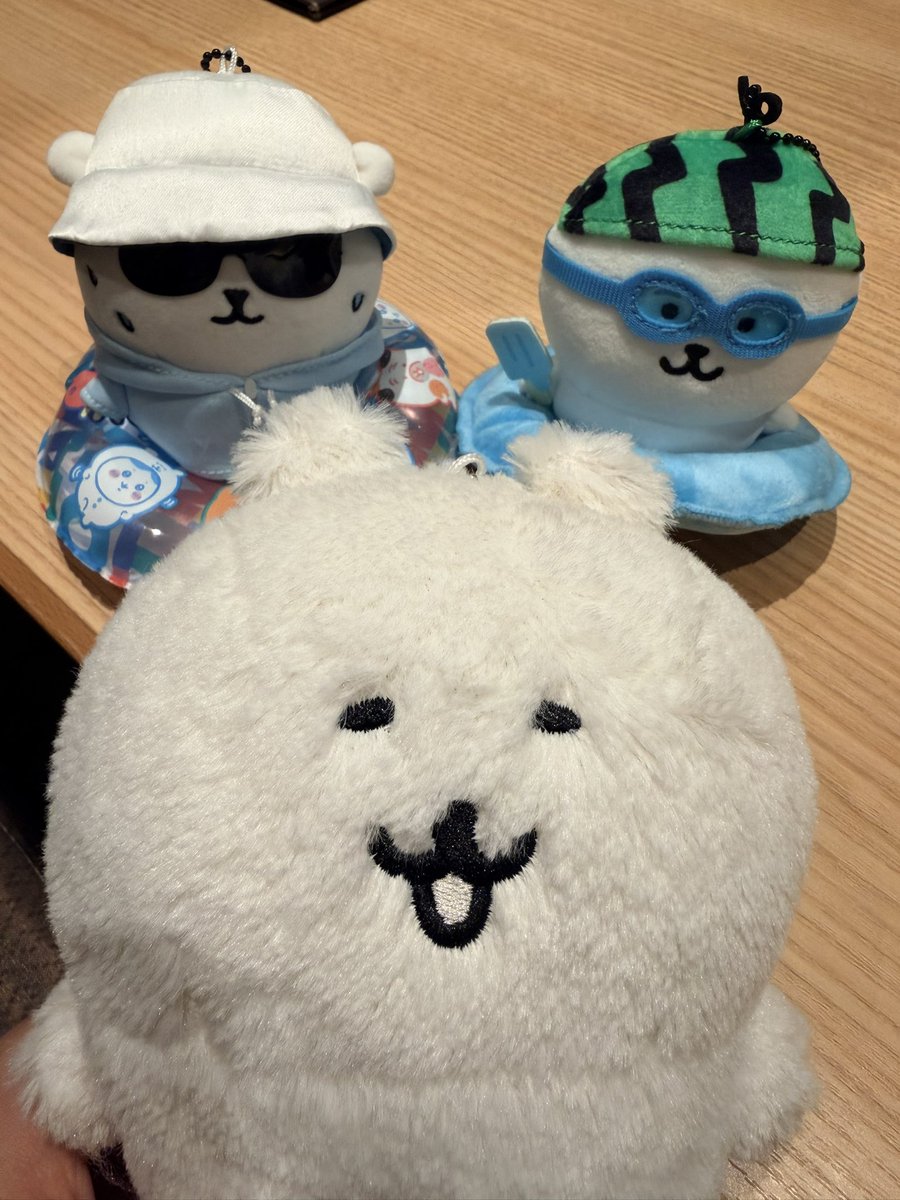 _chi_chan_9's tweet photo. 旅するくま https://t.co/pEBw5YyNOw