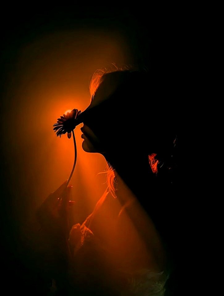 sanjaraic1's tweet photo. somewhere in the night
the world changes position
like a chair moved
in an empty room
I feel the turbulence
behind velvet curtain
hope #clings
to the edge of light
for a while
everything finds anchorage
then the world moves again
& I move with it
carrying some warmth
#vss365 https://t.co/TrqES1S3l2