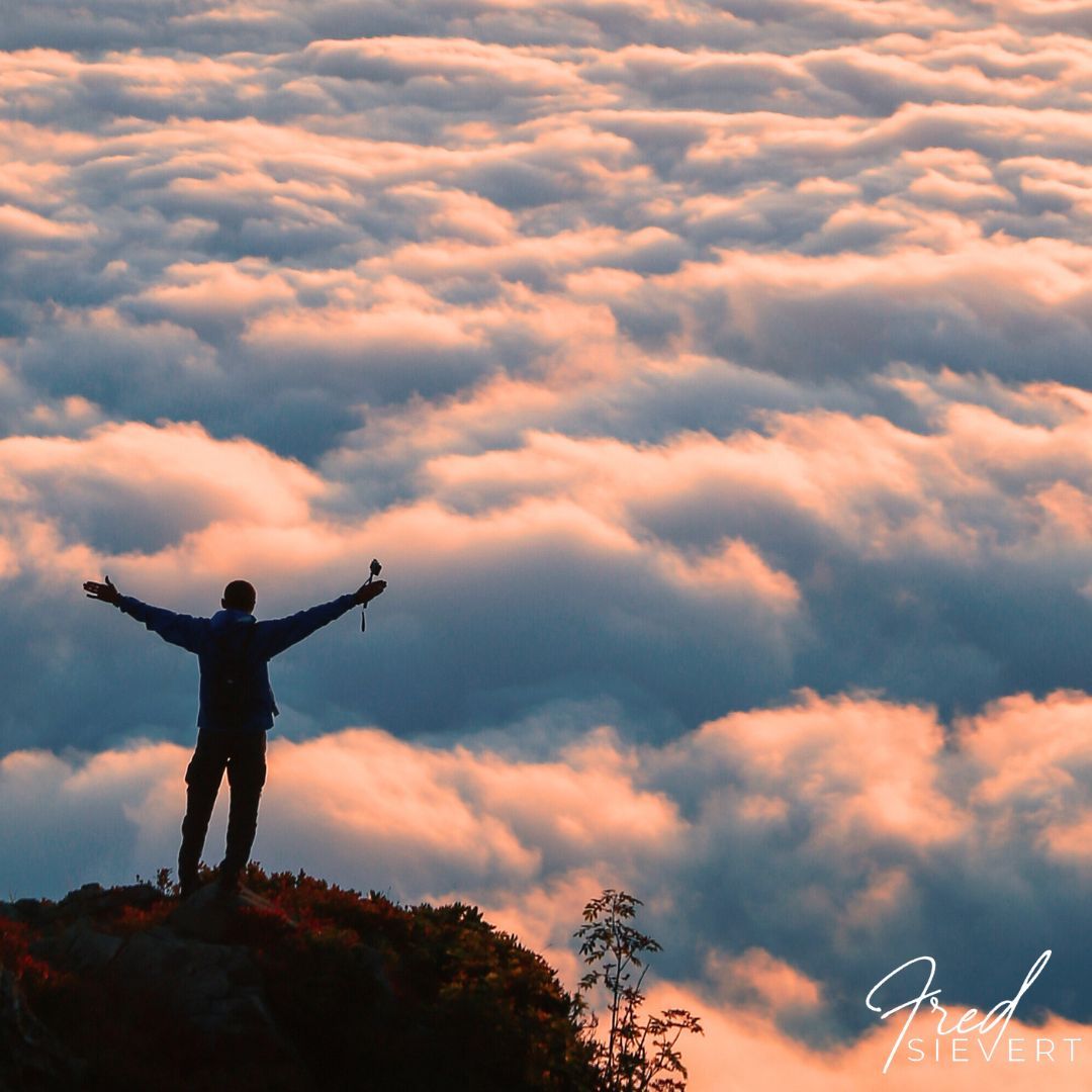 FJSievert's tweet photo. If today feels heavy, remember:

God has never asked you to carry tomorrow.
Only to trust Him today. https://t.co/WoT3wBHFrO