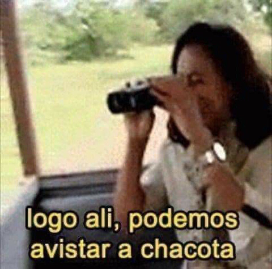 zelliima's tweet photo. Mas ninguém nunca falou que era exclusivo das formigas, sempre infectaram outros tipos, mas hoje em dia fazem tudo por likes né https://t.co/znnwdCVViV