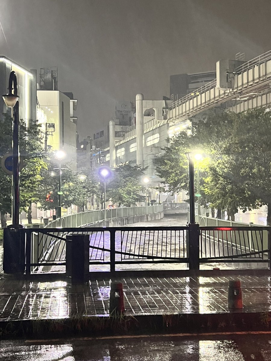Flare_r0's tweet photo. 10キロ歩いて帰りましたよ…膝下まで水が氾濫してた。道路も線路も❌
帰る途中に何台か事故も起こってるし、家帰ったら停電だし、シャワー水だし(当たり前)
今日の不運えぐい、元気出したい、ねこちゃんとかいぬちゃんとか見たい https://t.co/QyLHeXO7j0