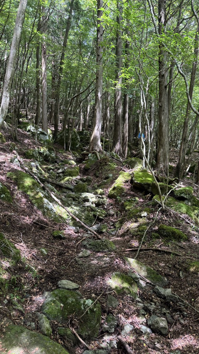 tsuchitani's tweet photo. 山、池、イモリ、竜宮城系の地蔵 https://t.co/FKdVzaVJ55