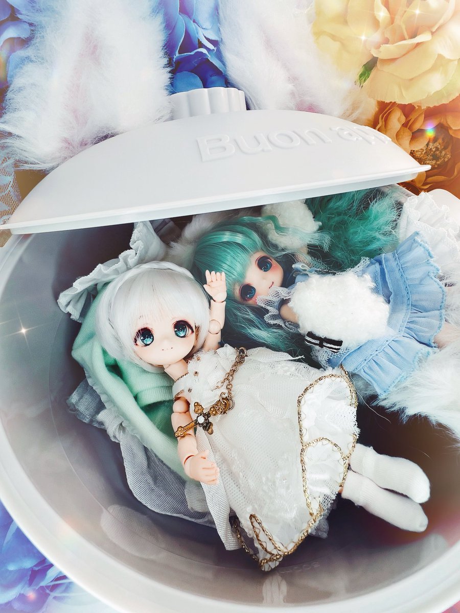 mi_mi_mi_doll's tweet photo. ꙳✧˖ﾇｺなべ同➰盟🐾 ˖°⌖꙳✧˖

#今夜のドール撮影120分一本勝負
#OBヘッド
#今日のる～ちゃん https://t.co/HaEKbRGbU1
