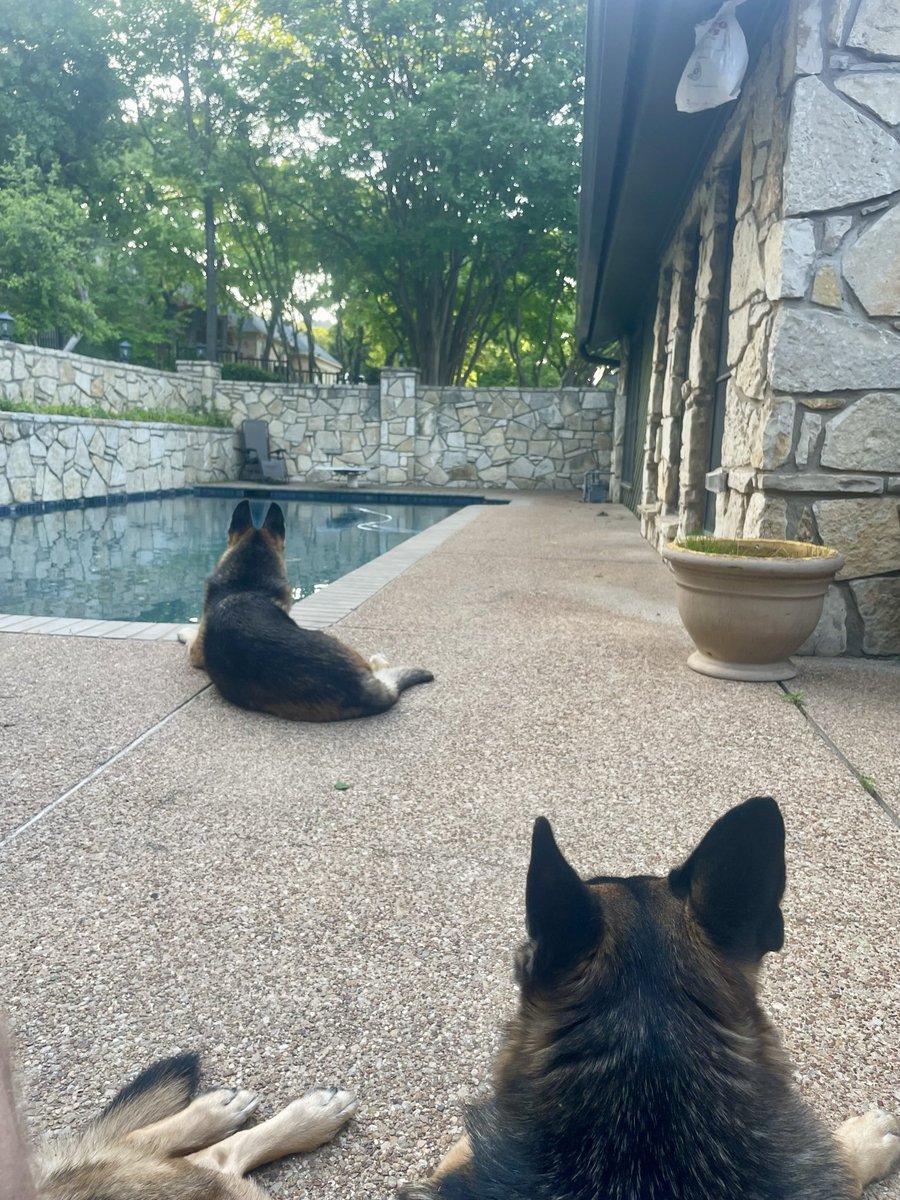 sgrosso13's tweet photo. @PatriotXV11 @RealJamesWoods Fxck them, NOT intimidated Ginny 🇺🇸 https://t.co/0oCWubcfb8