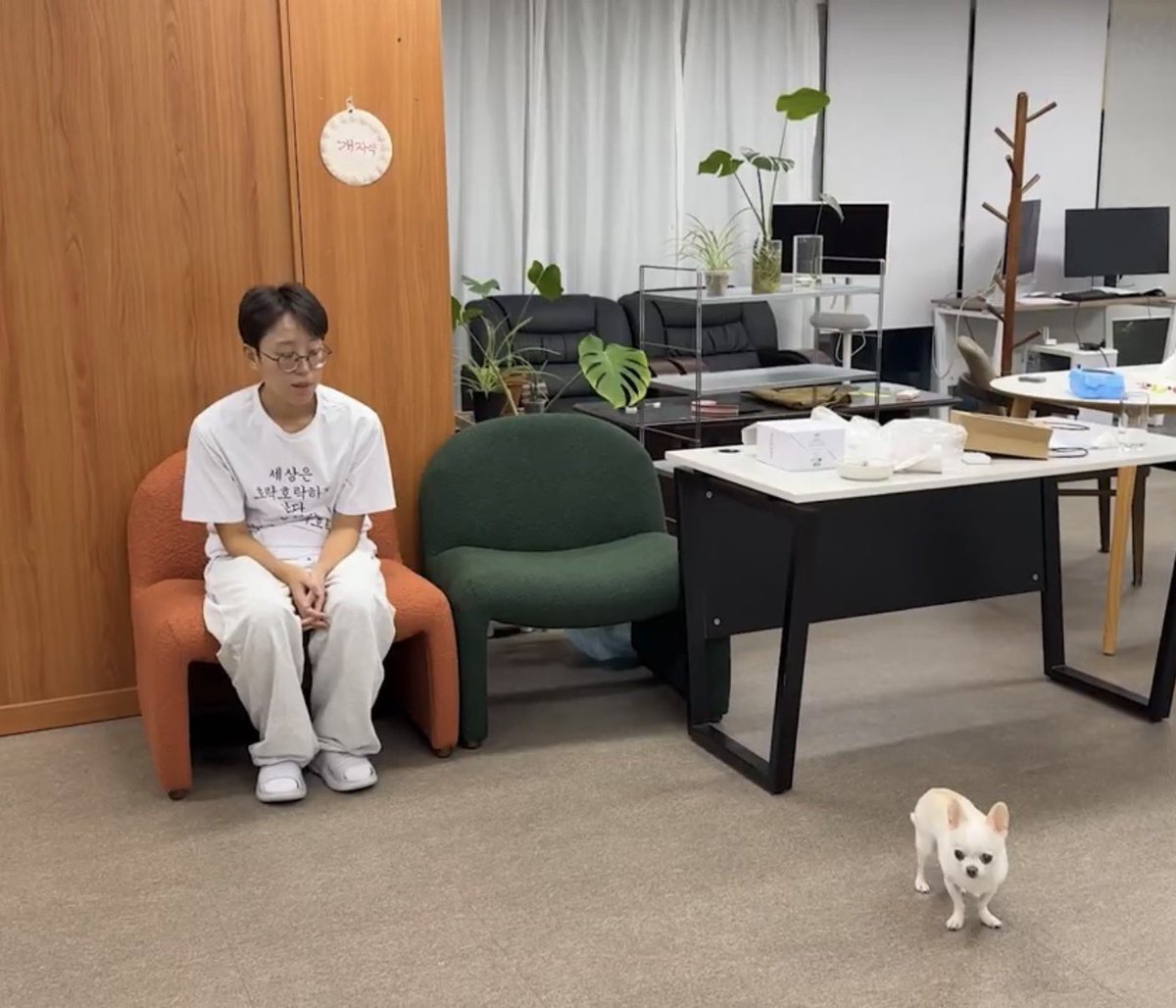 xmxzckj's tweet photo. https://t.co/X55kDyx8Nt