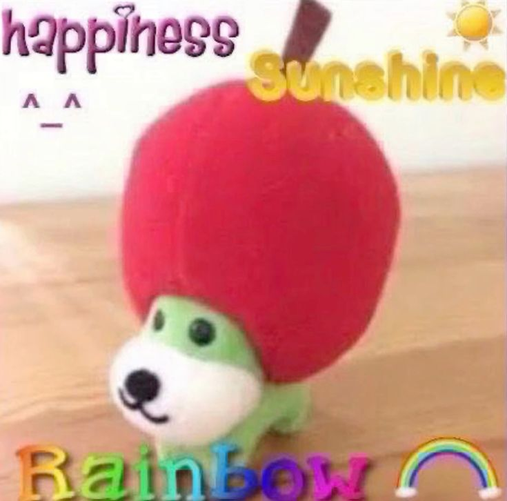 slyunua's tweet photo. happiness starts now https://t.co/aMCLSOvI5y