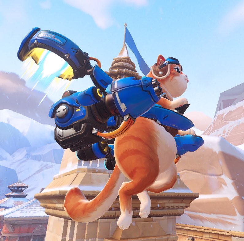 nellyyqwq's tweet photo. fat cat. https://t.co/sct1uejFRx