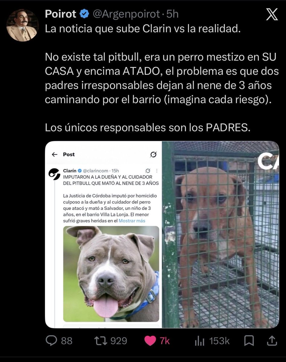 _l1ttleb0dy's tweet photo. @Romy_Ojeda_ @DimeFred2 No era un pitbull, fue un perro mestizo https://t.co/QpMP4kTke9