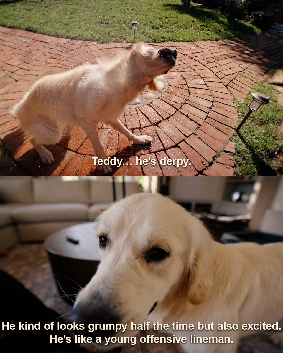 49ers's tweet photo. The best companions 🫶

Watch The Build presented by @SAP here: https://t.co/o5hQNv2CsD https://t.co/Gn3TJvfFr4