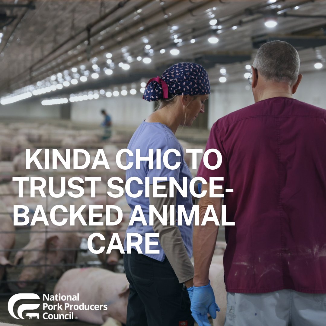 NPPC's tweet photo. There is nothing trendy about letting one state dictate how an entire country farms.
What is kinda chic? Trusting science. Listening to vets. Protecting family farms. Keeping food affordable. Trusting farmers to care for their animals.
#FixProp12: https://t.co/piSmaJKihb. https://t.co/KSCxyBaBwq
