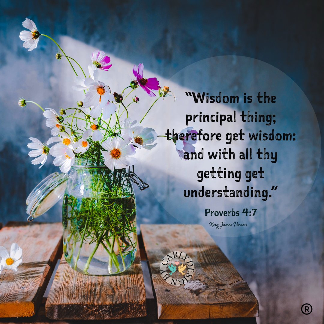 Just_Carly_'s tweet photo. “Wisdom is the principal thing; therefore get wisdom: and with all thy getting get understanding.”

Proverbs 4:7 (KJV) 💙 https://t.co/yLP61RfBMk