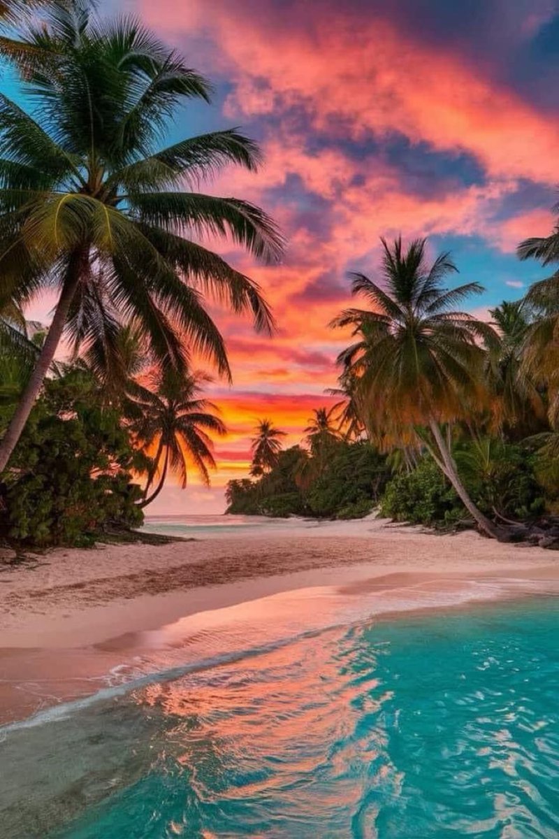 viewsoff's tweet photo. Ocean Sunset https://t.co/b3gFLGHC8f