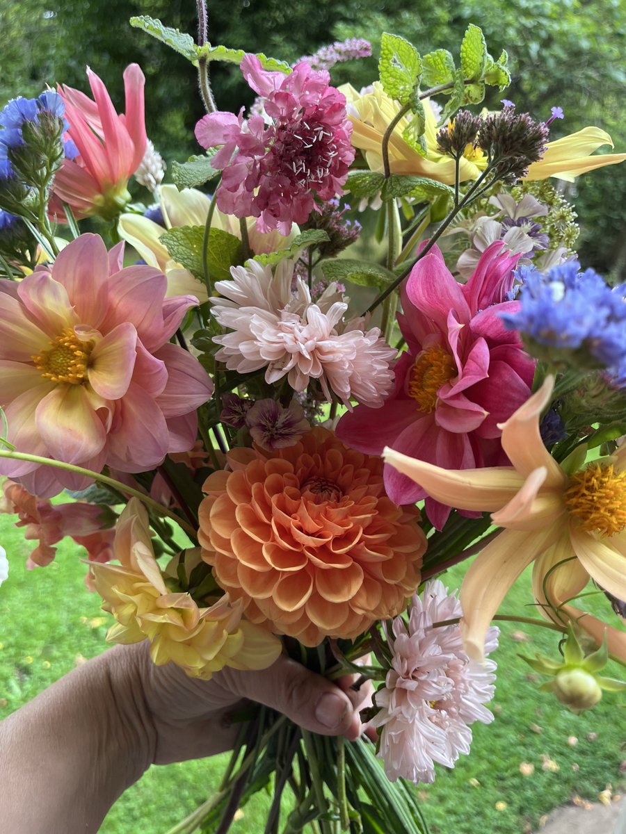 ameriultrabloom tweet picture