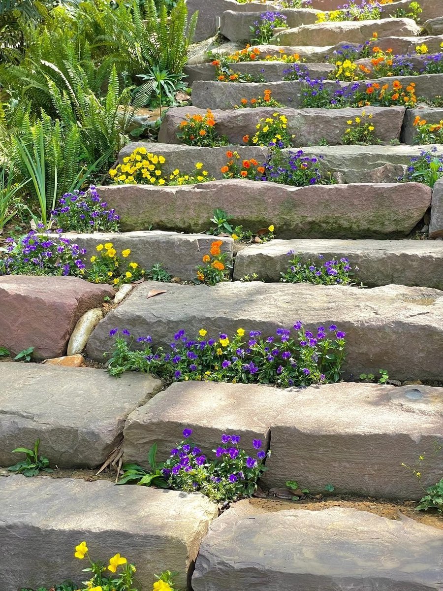 300moods's tweet photo. life finds a way and so will you 🌱🌸 https://t.co/YBoGiUCwDi