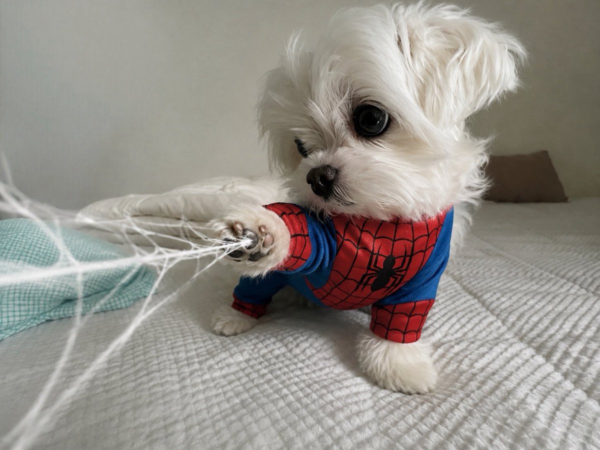 wawazanai's tweet photo. 쉭 https://t.co/aB0bFiDZQZ