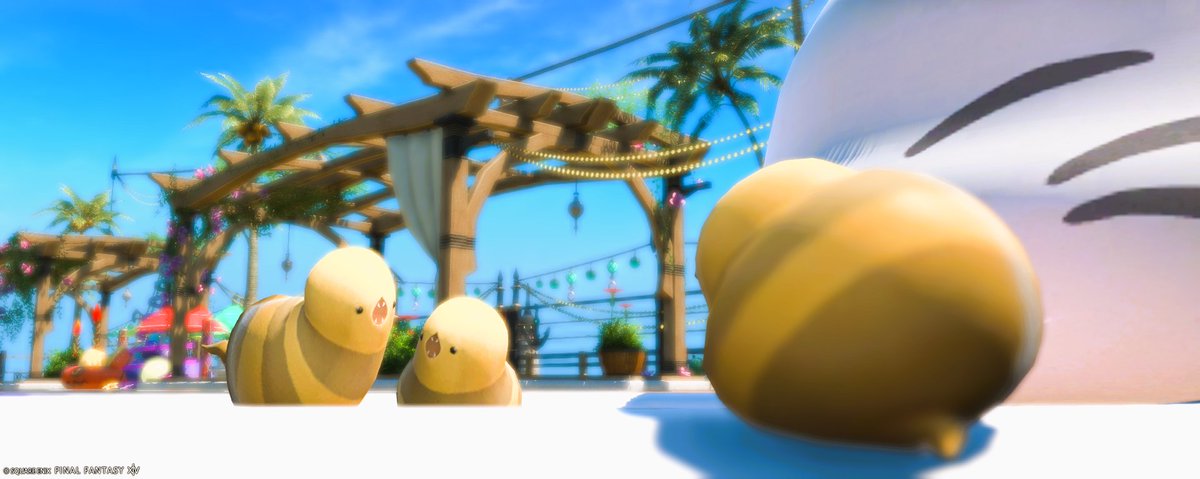 aperfectserpent's tweet photo. https://t.co/avDbxdzj8k