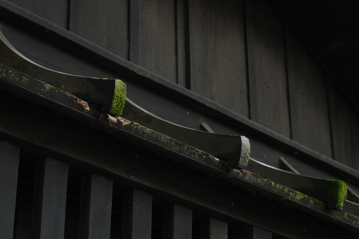 beansowing's tweet photo. #pentaxk70 #snap #omiya https://t.co/5hsNHzICtG