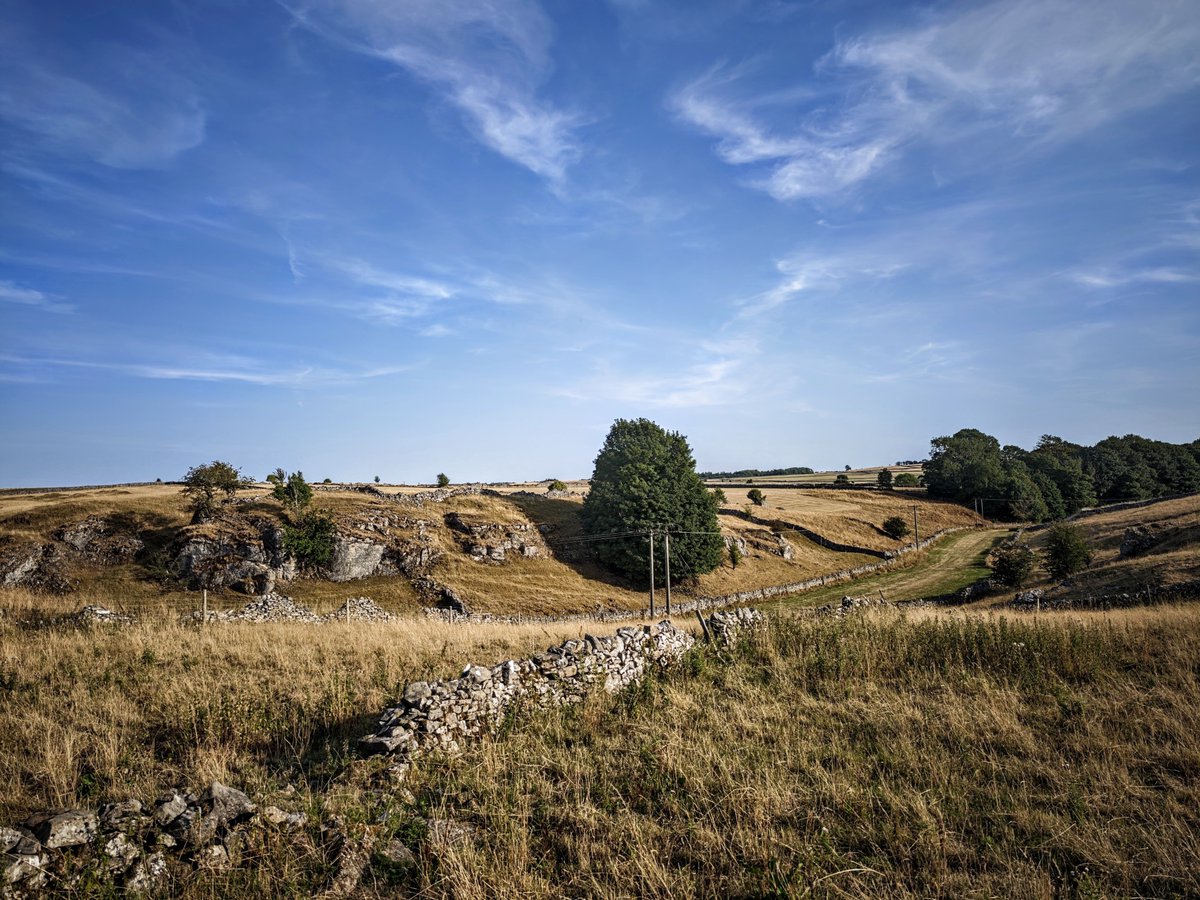 chrisbu03352910's tweet photo. #ThursdayTrails
Somewhere near Eyam...๐ถ๐
๐ธ https://t.co/hYP3A9XUBx