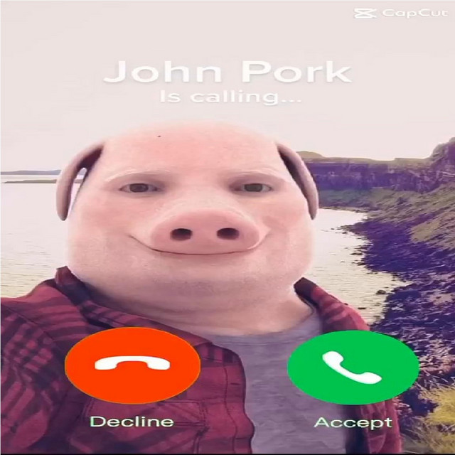crypto_networth's tweet photo. How are we missing this?

John pork is calling...

The biggest meme of them all

send it on cashback https://t.co/bTymgdfMoD