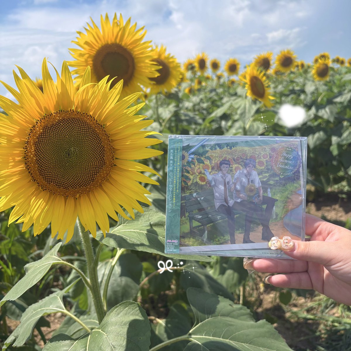 ar_cho14's tweet photo. ⟡.·*.HappySummerValentine⟡.·*. https://t.co/BBlPE0IGwW