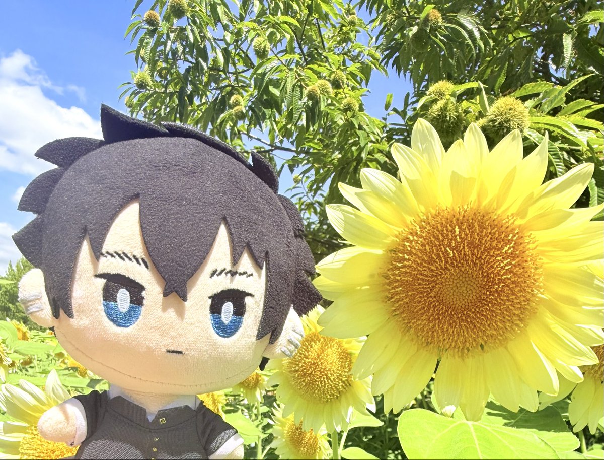 purehappysmile's tweet photo. 💚🌻✨🌻✨🌻✨🌻✨🌻✨🌻

ハッピーサマーバレンタイン🌻💗

🌻✨🌻✨🌻✨🌻✨🌻✨🌻💚

#サマバレ2026 https://t.co/ZSeeiNTJ72