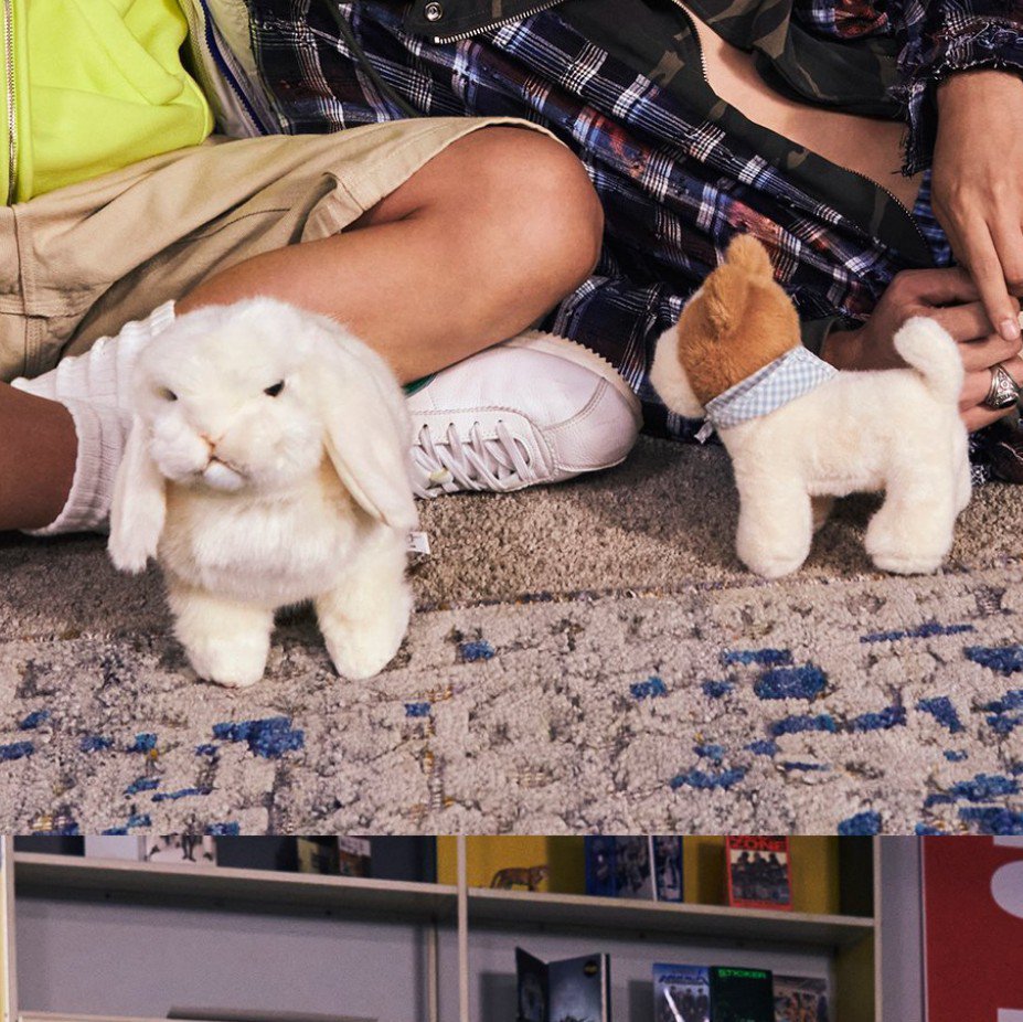 nctymisfit's tweet photo. Doyoung and Jungwoo's representative animals 🐰🐶 🥹 https://t.co/GWWuPHByUr