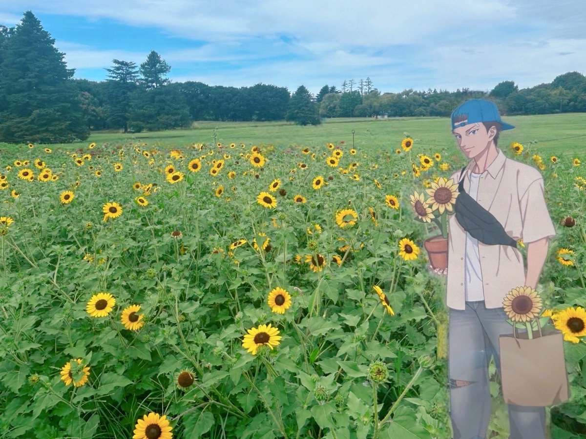 ss_sum0929's tweet photo. 今年もひまわり見に行けてよかった🌻

もう迷わないキミが好き🩵

#サマバレ2026
#ハッピーサマーバレンタイン https://t.co/RhV1QpoTQb