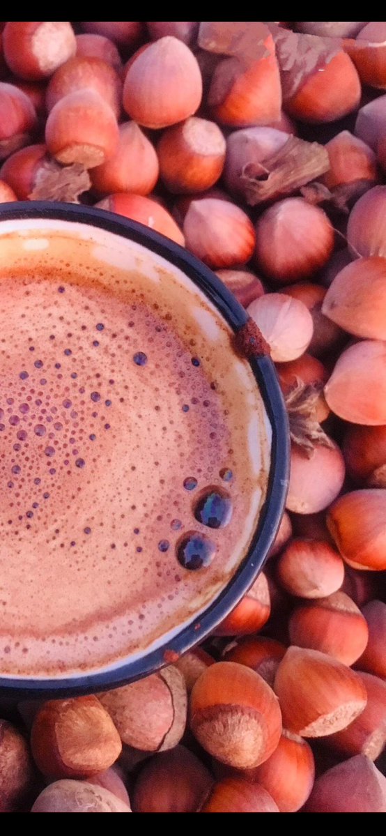 Ycdey52's tweet photo. Közde kahve ☕️🌰 https://t.co/VBnY3mCaiw