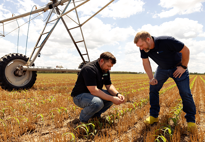 POLITICOFocus's tweet photo. What does it take to bring healthier food to millions of Americans? Find out how scientists, farmers and manufacturers are helping to reshape the US food system: https://t.co/oklrFQrF8o

@DanoneNA sponsored content on @POLITICO. https://t.co/IPbxGJ89ET