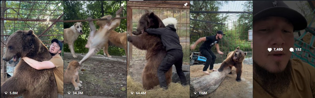 AptiDjamaldaev's tweet photo. GUYS, EVERYONE IS SENDING BALOO.

The viral video of Апти Джамалдаев (Apti Djamaldaev) fighting his bear is already pushing 100M views in less then 24h, and now everyone is sending the coin of Baloo, the bear.

https://t.co/ARenYqkBwg

But think about it…

Wouldn’t it make more sense to send Apti himself?

Baloo is the bear.
Apti is the man who fights the bear. 🐻

AND WE ACTUALLY ONBOARDED HIMSELF!

He will pin the contract address in his Instagram bio https://t.co/mbiA24Kyq8, and the fees will be redirected directly to Apti.

The animals have their coins.
Now it’s time to send it to the man behind them.

$APTI — The Beast Tamer.