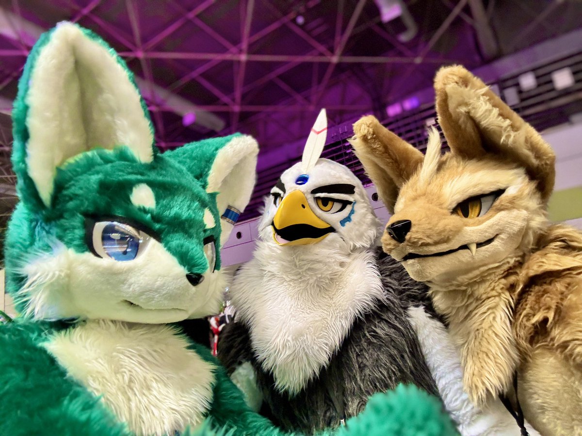 Renri_wolf's tweet photo. #FursuitFriday 
#OFFF2026 https://t.co/ygLLznY0mx