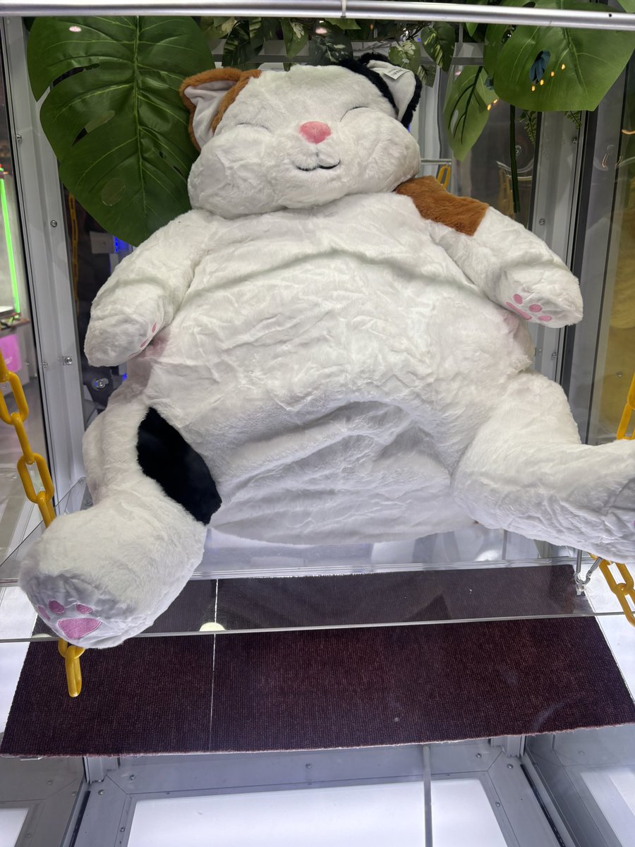 syoboboman's tweet photo. はくあおったわ笑 https://t.co/t0UDGND4Bp