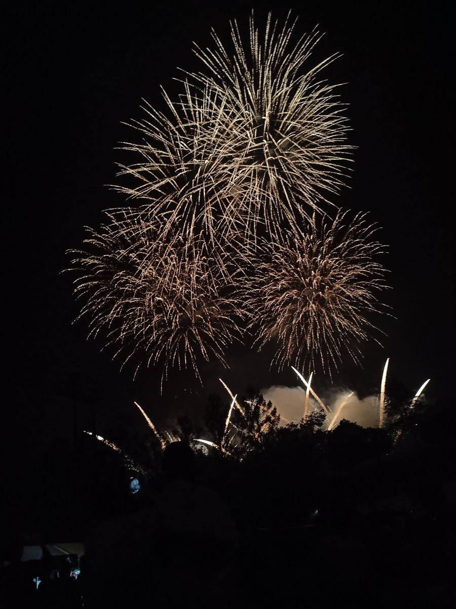 kloaw_sen's tweet photo. 今年初花火〜🎆 https://t.co/zibO73ydHr