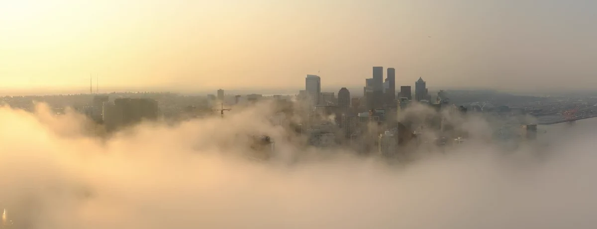 Space needle panocam (https://www.spaceneedle.com/webcam) showing areas of fog into Downtown Seattle this morning.