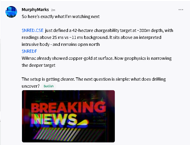 TapeReaderDP's tweet photo. Wow, NRED just gave Stocktwits traders a fresh headline to dissect: Wilmac now has a 42-hectare chargeability target at ~300m, >25 ms vs ~11 ms background, above an interpreted intrusive body - and it’s still open north. The target keeps getting sharper

$NVDA $AAPL $TSLA https://t.co/sEBnlOKpTy