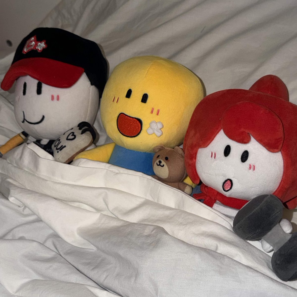 ohsoybean's tweet photo. So snug 😚 https://t.co/cPBKHz1SpU