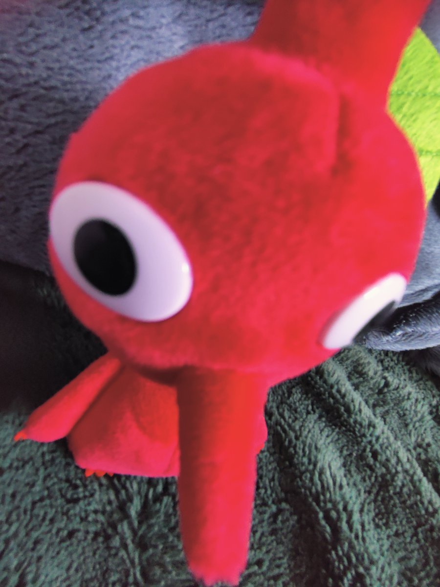 Queenbees63's tweet photo. Gang I want Pikmin 4 so much TwT
But Pikmin 3 will always hold a special place in my heart 🥹✌ https://t.co/PTRXjEPUJK