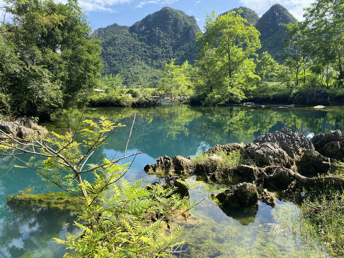 caobang696's tweet photo. Ngọc Côn - Trùng Khánh - Cao Bằng mùa lúa đẹp nhất 😍 https://t.co/KWaVrooPdW