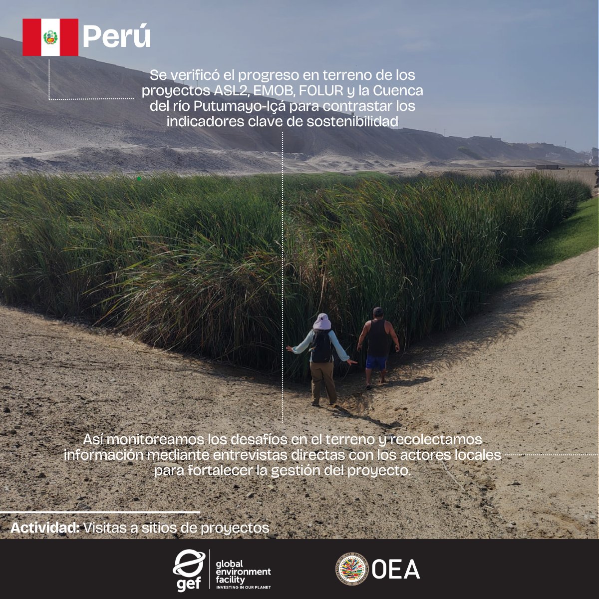 OEA_Desarrollo's tweet photo. #ProgramaDeAgua | Junto a @theGEF fortalecemos el rol de los Puntos Focales Operativos (PFO) en América Latina y el Caribe, para una gestión más cercana y efectiva de su cartera de proyectos.
Perú🇵🇪 es un ejemplo de cómo este fortalecimiento se traduce en una supervisión más sólida en el terreno: el PFO visitó los territorios para verificar avances de iniciativas como ASL2, FOLUR y Putumayo-Içá, y coordinó con el @MINAM talleres de salvaguardas orientados a una gestión técnica más inclusiva y alineada con las necesidades de las comunidades locales.
Esta acción se enmarca en el Proyecto GEF-8 para Apoyar a los Puntos Focales Operativos en la Supervisión de Proyectos en América Latina y el Caribe, que la Secretaría General de la @OEA_oficial , a través del Programa de Agua para las Américas del Departamento de Desarrollo Sostenible, implementa en asociación con el Fondo para el Medio Ambiente Mundial @theGEF.
Conoce más en: https://t.co/QdAUB4jGkW
