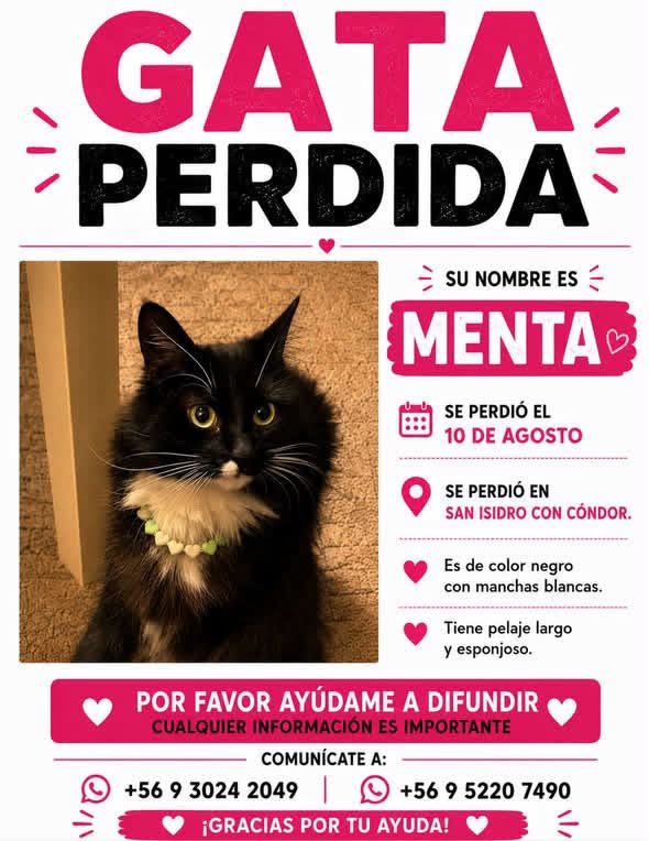 todopormiperro tweet picture