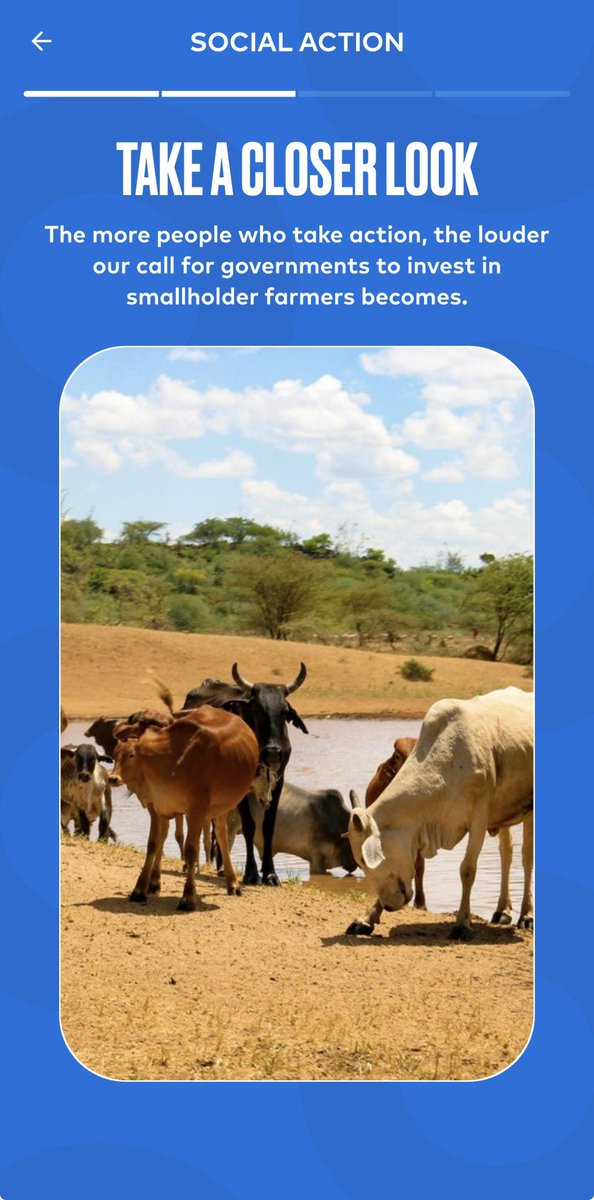 ChenY91403's tweet photo. Stronger food systems start with stronger farmers. 🌾 Join me in calling for $100M to support 1.5 million smallholder farmers with the tools and finance they need to thrive: https://t.co/LR7k5vdy5V #GlobalCitizen https://t.co/apmWsN7M8E