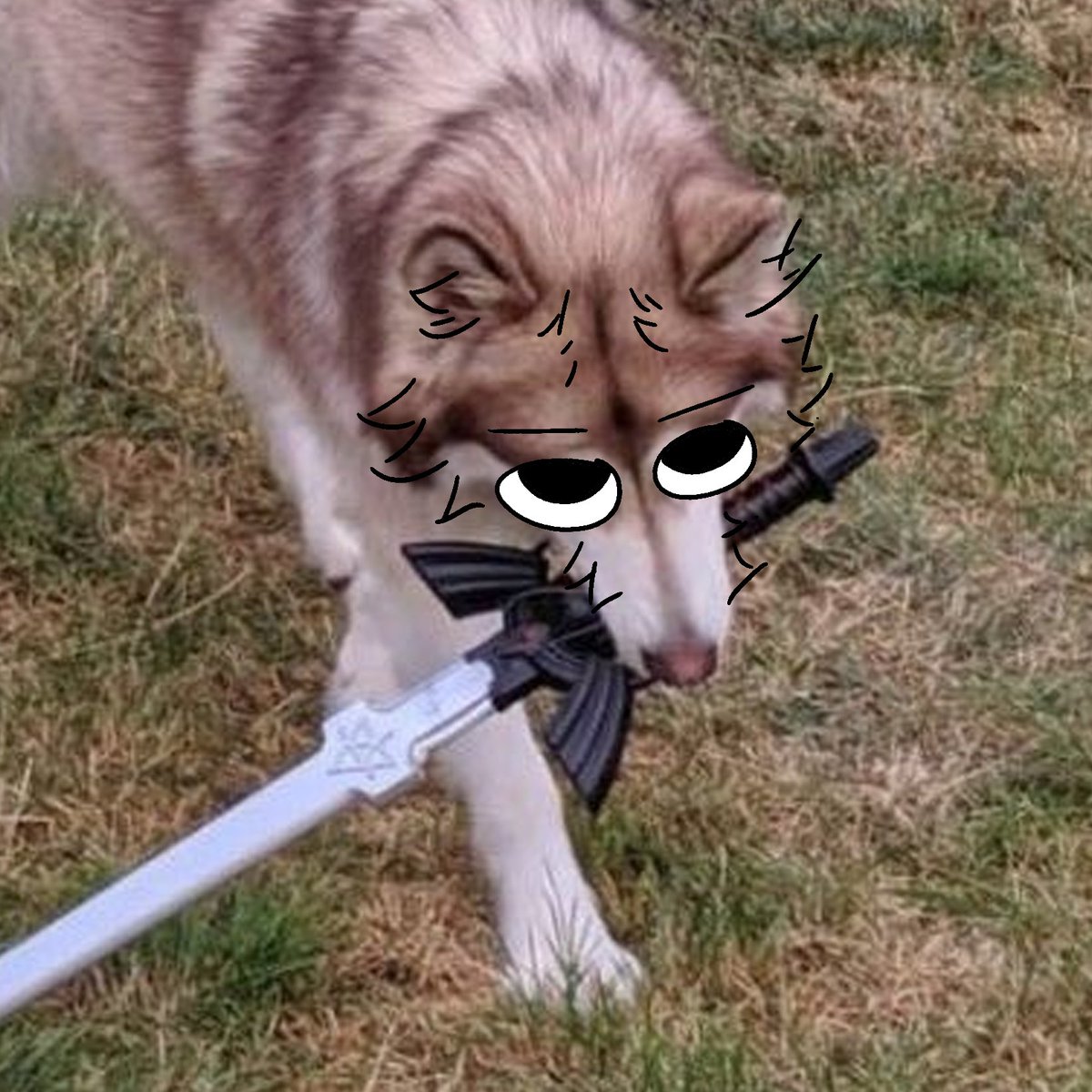 thecatidk's tweet photo. Sword #dog #animal #art https://t.co/TEev5PYqXj
