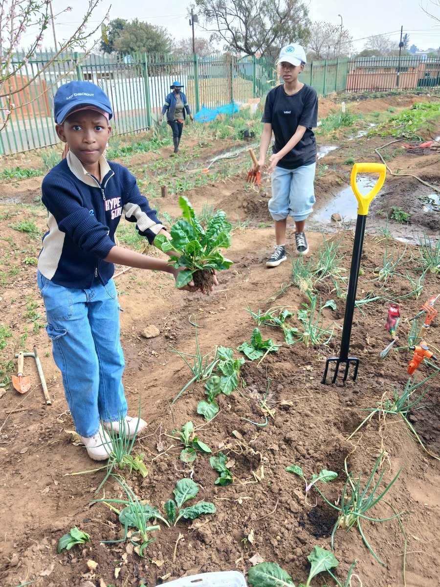 SowetoBTC's tweet photo. In celebration of Woman's day. We donated some irrigation &amp; garden tools to Kelokitso Community Farm. We also had our learners participate in planting some vegies. Thanks @phenyos_wellnes , a day well spent.

Merchant: phenyoswellness@blink.sv
Location: https://t.co/w3uHOxOj9k https://t.co/BOepNCMs7H