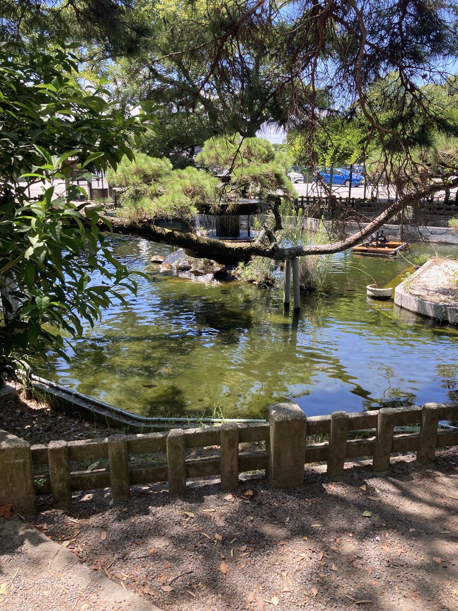 TERU0856's tweet photo. 世間が認知している歴史上の人物における話なんてものは、ほぼ後世に作られたものである。

中津城三斎池。
何かと逸話の多い細川三斎（忠興）様だが、三十六歌仙…池…なんて聞いたら、物騒なことしか思い浮かばないんだよな。

おや、帰宅早々誰か来たようだ… https://t.co/auuH34rCjg