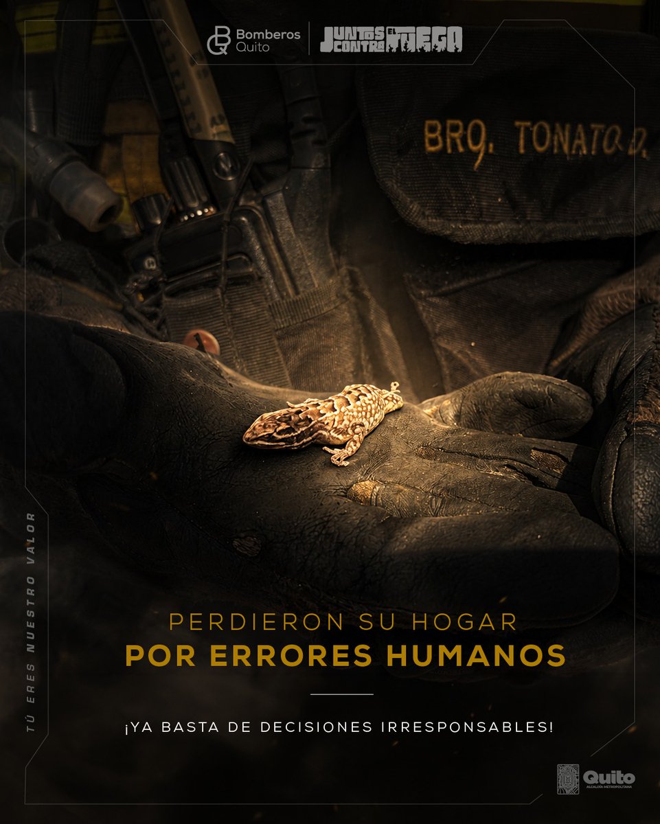 BomberosQuito's tweet photo. 🖐️ #AltoAhí | Tú, sí, tú.

🔥 Si realizaste una quema y el fuego se salió de control, eres responsable de las consecuencias.

🤨🫵 Ellos no provocaron el incendio. No pudieron escapar. No pudieron proteger su hogar. Pero tú sí pudiste decidir no prender fuego.

😢 Cada animal que ves en estas imágenes representa una vida que se perdió por una mala decisión humana.

👨‍🚒 ¡Ya basta de quemas, basta de decisiones irresponsables que acaban con vidas!

🥹 Ellos también merecen vivir.

📲 Si ves a alguien realizando quemas en páramos, bosques o quebradas, denúncialo al 9-1-1.

#JuntosContraElFuego #BomberosQuito